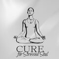 Cure for Stressed Soul (Positive Instrumental Music, Relax Your Soul, Beautiful Songs for Stress Relief)