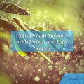 Flute Dream Melodies with Drums and Rain Sounds