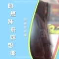 自由如风晓 - 郎想妹来妹想郎