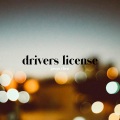 drivers license