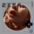 陈海涛 - 走天涯 (remix: 降央卓玛)
