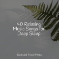 Tinnitus、Spa Zen、Sleep Songs 101 - Living in the Present
