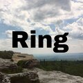 Old Sheep - Ringing