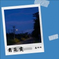高珂珂 - 你从未离去
