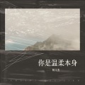 杨文杰 - 大城小爱