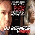DJ Zorneus、Friends - Under Your Spell (Radio Edit)
