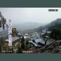 杨有凡 - 那年冬天飘落的雪花