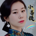 小菩提 - 陪你千山万水