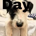 DAY (Explicit)
