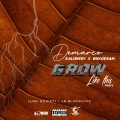 Grow Like This (Remix|Explicit)