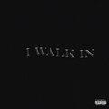 dyingoutlay - I Walk in (Explicit)