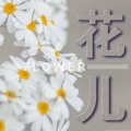 刘志远 - 宝贝