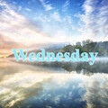 スペクタクル - Wednesday