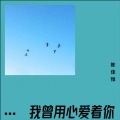 陈佳恒 - 我曾用心爱着你