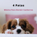 Colectivo De Música Para Perros、Música Para Dormir A Los Perros、Calma Música para Perros - Sonidos Relajantes