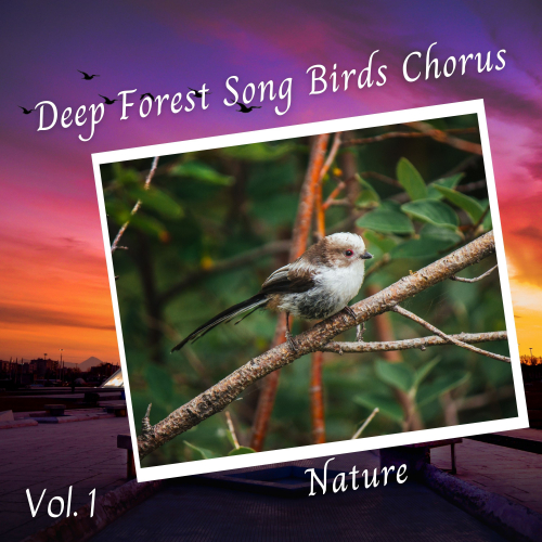 Spa Music Kingdom、Soothing Baby Lullaby、Nature Of Sweden - Ambient Rain Sounds for Deep Sleep