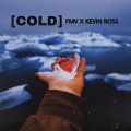 Fmv、Kevin Ross - Cold (feat. Kevin Ross)(Explicit)