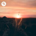 Sunrise for You