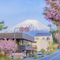 古茗川 - 情与法 (旋律BGM)