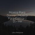 Yoga Para Niños、Natureza、Lluvia PQ - Hermoso Descanso Nocturno