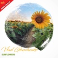 Vlad Gluschenko - When Summer Comes