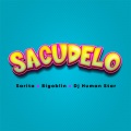 Sacudelo
