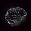 24 Hour Music - Still AI