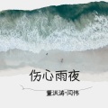 董洪涛 - 伤心的雨夜伤心的雨