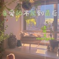 墨晴鸢 - 亲爱的不能到最后
