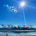 夏炎 - 麦田
