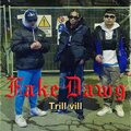 Fake Dawg (feat. Villains) [Explicit]