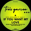 If You Want My Love (Wayne Soul Avengerz & Odyssey Inc. Trois Garcon Mix)