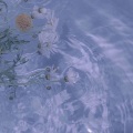 宋小雨 - 纪念