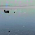 Taus - i dissolve