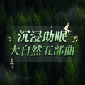 昼夜助眠 - 坐在车里听雨声