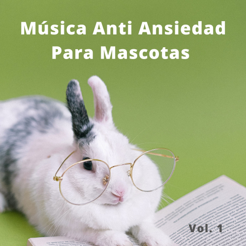 Colectivo De Música Para Perros、Sonidos de la naturaleza Relajacion、Relajación y Serenidad - Rescatame