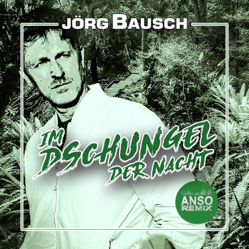 Im Dschungel der Nacht (Anso Remix)