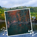 Binaural Landscapes、Study Music Library、Natural Baby Sleep Aid Academy - Relaxing Tropical Forest River Ambience - 2 Hours