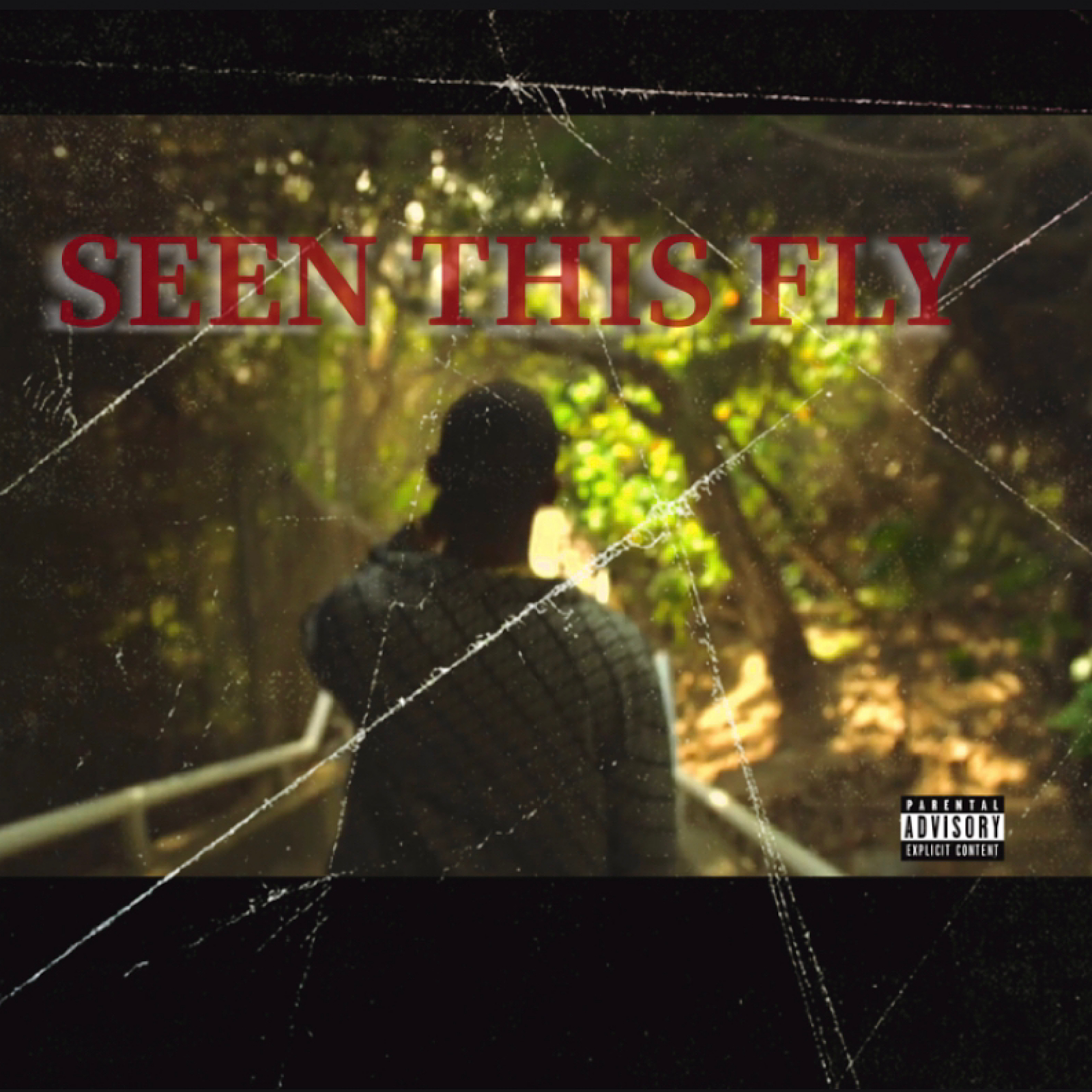 YS-Perignon'、Pico - Seen This Fly (Explicit)