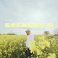 C Y G N - Scenery II