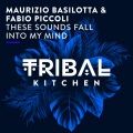 Maurizio Basilotta、Fabio Piccoli - These Sounds Fall into My Mind (RadioEdit)