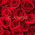ENAMORÉ