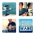 Herr Wade - So weit von mir