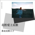 安徽民歌王子 - 阳光之下