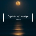 Capriccio of moonlight(月光随想曲)