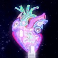 DLight - Amor