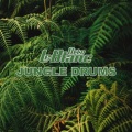 Jungle Drums (Original Club)