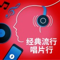 David Garrett - He's A Pirate (加勒比海盗)