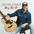 Ashley Gorley、Dallas Davidson、Easton Corbin、Rhett Akins - Somebody's Gotta Be Country