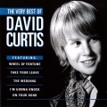 David Curtis - Words